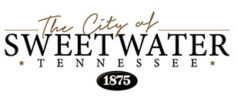 city logo