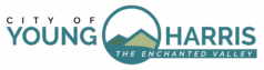 logo 21